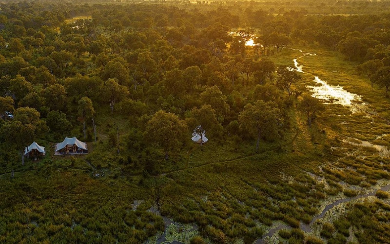 10 Day Chobe, Delta & Kalahari Safari Feline Lodges